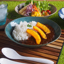 強化磁器カレースプーン5本セット薄い軽いうすいかるいおしゃれカレーカレーライス蓮華レンゲリゾットチャーハンスプーンラーメンオシャレ使いやすい口当たり口当たりがいい陶器磁器セラミック