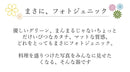 オーバル皿グリーンシーヴァミント24.5cm楕円だえんパスタ皿レディースサイズ小さめ食器皿お皿緑カフェインスタ映えおしゃれオシャレかわいい陶器