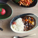 七宝カレー皿鉢ボウル深鉢深皿オーバル楕円カレーパスタ皿パスタサラダ皿サラダ粉引ベージュ織部緑色緑グリーン黒アメおしゃれかわいい可愛い日本製