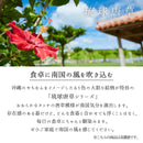 やちむん風琉球唐草くらわんか4.0寸飯碗大るり/サビ茶碗お茶碗おちゃわん器おしゃれオシャレ食洗機対応食器業務用沖縄やちむん琉球インスタ映え