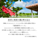 やちむん風琉球サビ唐草7.0皿