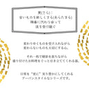 楕円皿オーバルプレート30cm更?sara?皿大皿楕円オーバルレストランリストランテディナー洋食器洋風食器高級上質おうち時間
