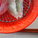 向付 赤 とちり 刺身鉢