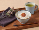 飯碗 日和 hiyori 織部 薄青磁