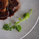 飛白 27.5cmディナープレート