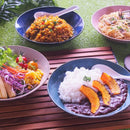 ナチュラルカラー パスタ皿 20cm グリーン/ネイビー/ ベージュ/ピンク