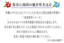 やちむん風 琉球 唐草 6.5寸 そば丼 るり/ヌキ/サビ