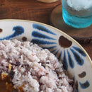 やちむん風 カレー皿 深皿 23cm 琉球てぃーだ 和風軽量