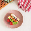 シーヴァ レッドビーン 21cm たまご型プレート