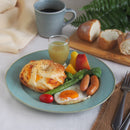 シーヴァ 27cm 変形 リムプレート