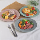 シーヴァ 27cm 変形 リムプレート