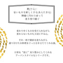 更 sara オーバルプレート 30cm