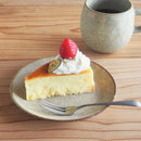 ソイル 15cm プレート