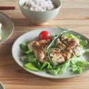 ソイル 21cm プレート