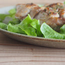 ソイル 21cm プレート