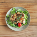 ソイル 21cm プレート